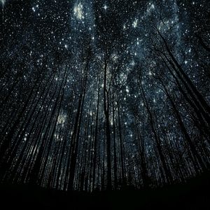 Meet your Posher, Sterling